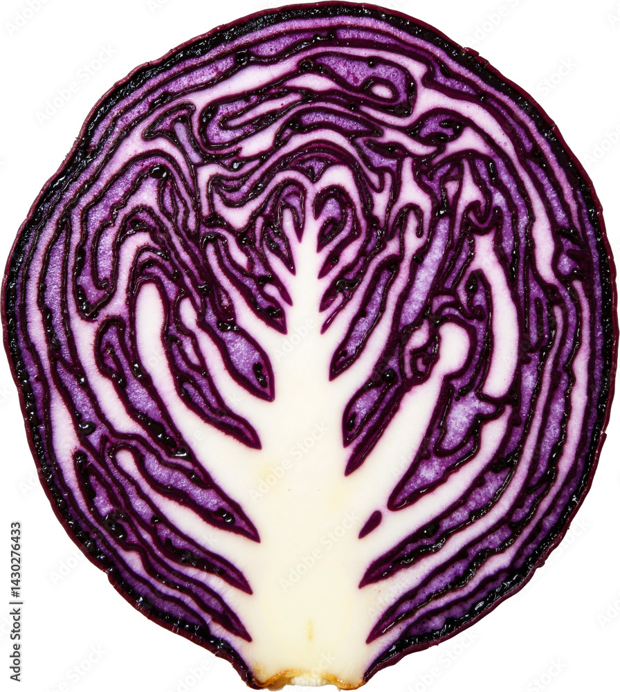 Vibrant Slice of Red Cabbage Isolated on Transparent Background for Health and Nutrition Marketing Vibrant Slice of Red Cabbage Isolated on Transparent Background for Health and Nutrition Marketing