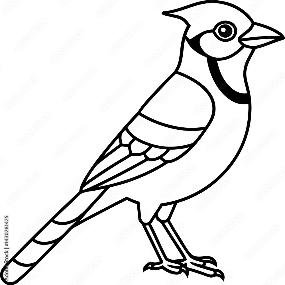 Fototapeta premium Minimalist Vector Jay in One Line