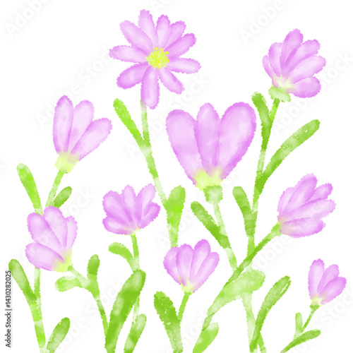 set of pink flowers on transparent background
