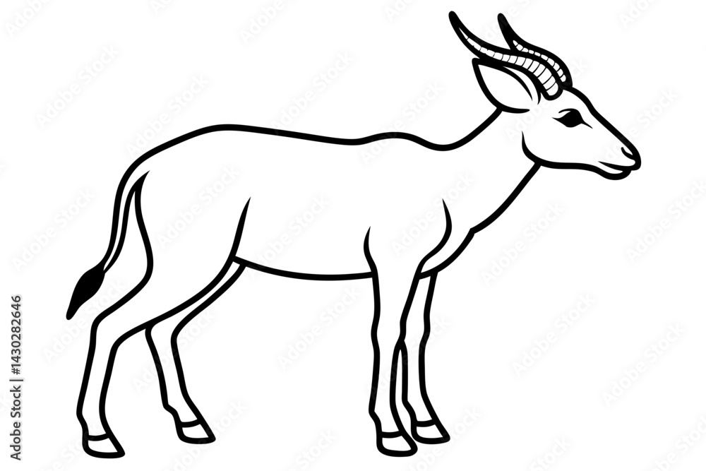 Saiga Antelope Line Drawing Saiga Antelope Line Drawing
