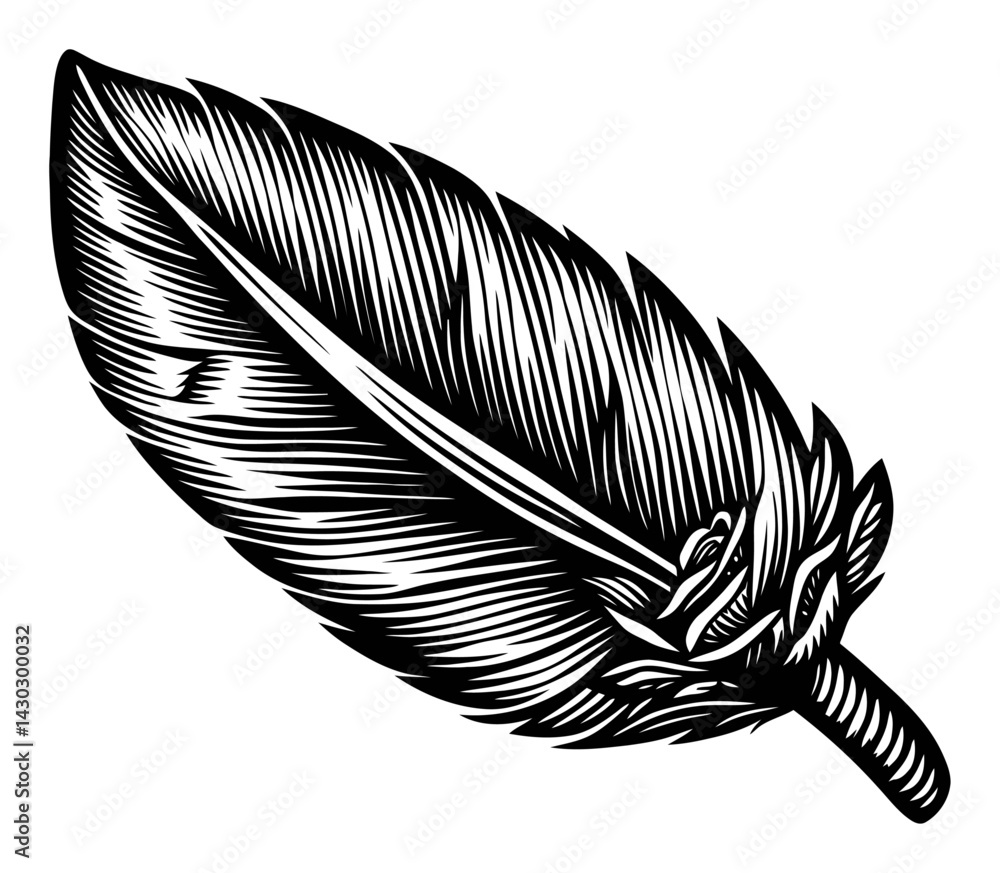 Obraz premium Detailed Engraving of a Leaf with Intricate Illustrative Design