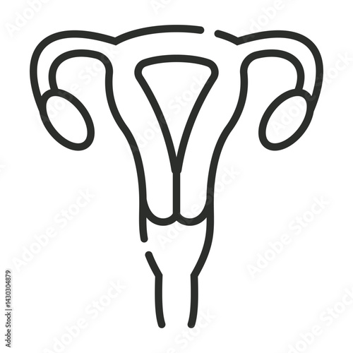 Uterus icon, Sexual health day symbol outline icon, editable vector illustration and transparent graphic element. Isolated on white background