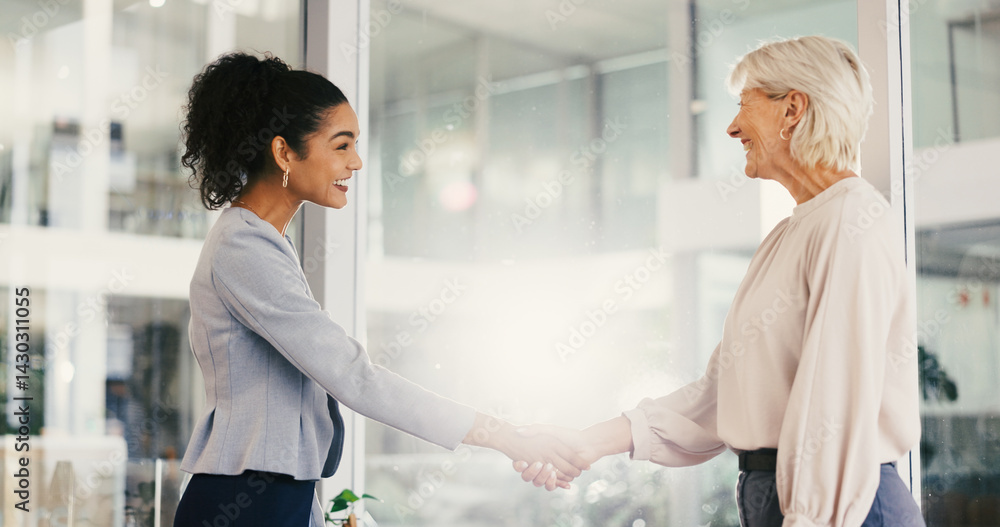 Fototapeta premium Shaking hands, deal and business women in office with greeting for job interview with contract. Negotiation, partnership and female hr manager with candidate for thank you handshake in workplace.