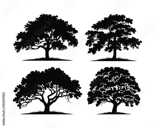 Beech Tree Silhouette Isolated EPS Illustration