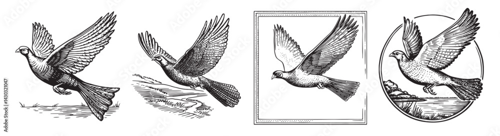 Fototapeta premium Vintage Illustrations of Flying Birds in Artistic Styles, vintage retro hipster logo design, vector illustration, engraving design