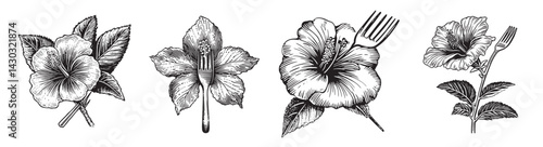 Floral Illustrations Featuring Hibiscus Designs with Utensils, vintage retro hipster logo design, vector illustration, engraving design