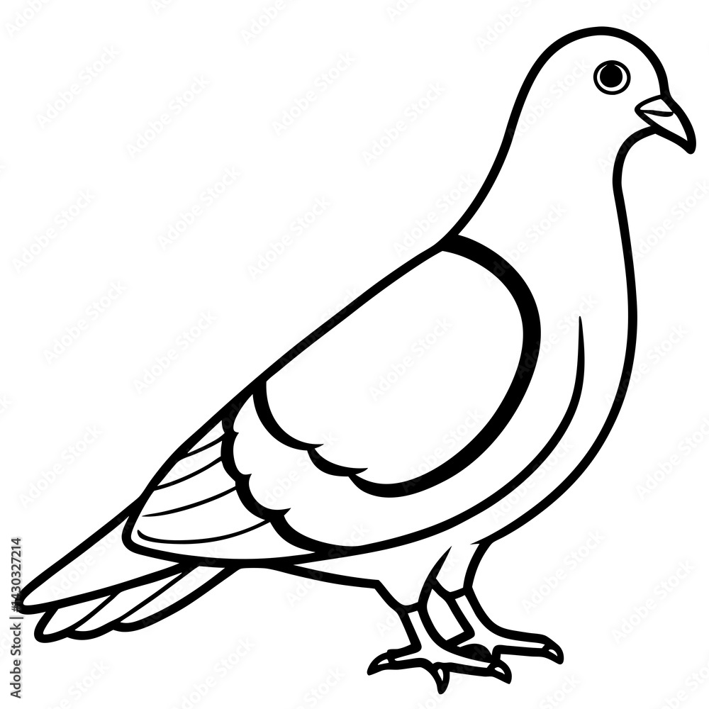 Obraz premium Sleek Pigeon Outline Vector Illustration