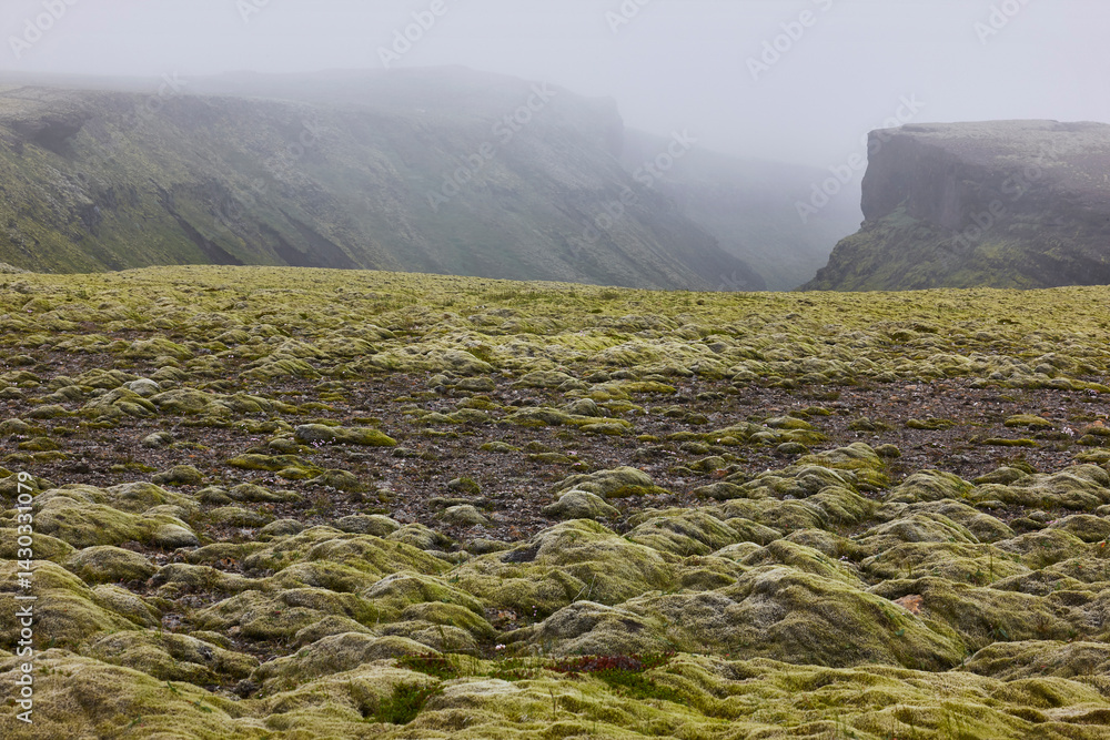 Mossy landscape and river in Lakagigar. Volcanic area. South Iceland