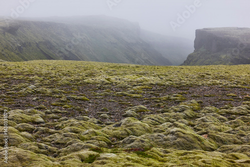 Mossy landscape and river in Lakagigar. Volcanic area. South Iceland