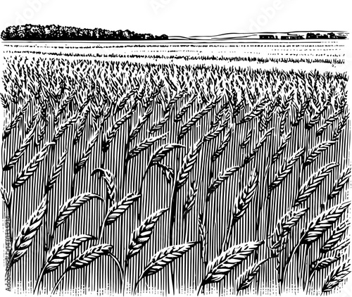 Wheat Field Woodblock Print Black and White Vintage Engraved Texture Rural View
