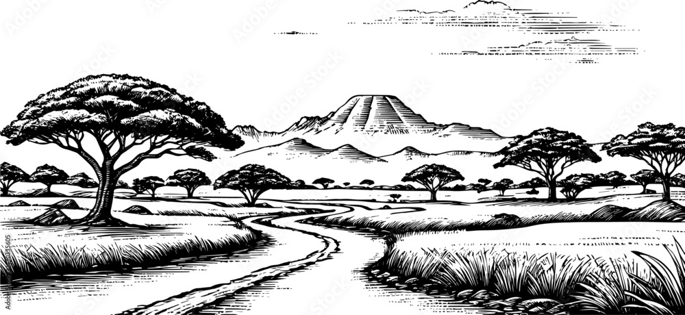 Fototapeta premium African Savanna with Mountains and a Winding Path in Black and White vintage Style