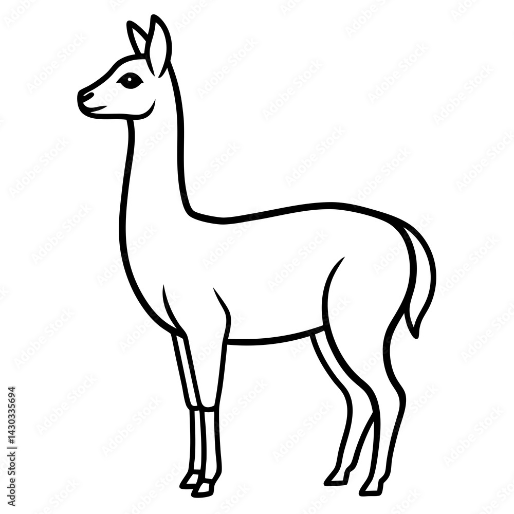 Obraz premium Vicuna in a Single Stroke Vector Design