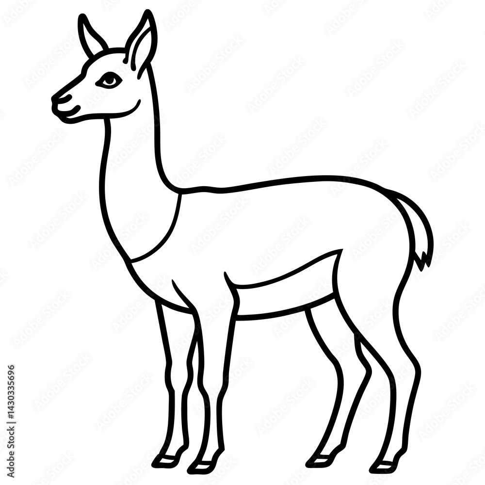 Fototapeta premium Vicuna in a Single Stroke Vector Design
