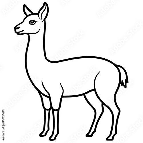 Vicuna in a Single Stroke Vector Design
