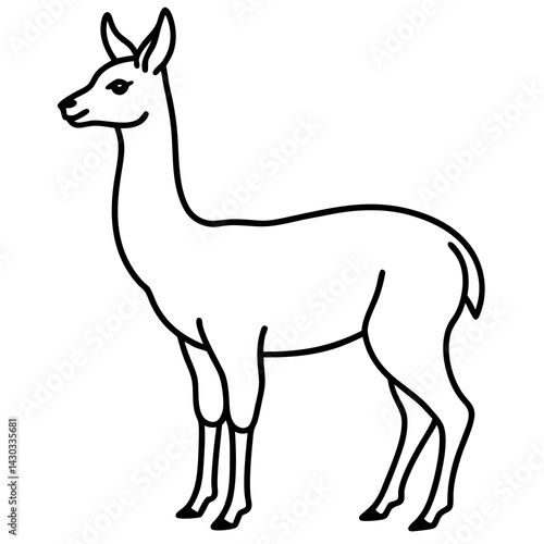 Vicuna in a Single Stroke Vector Design