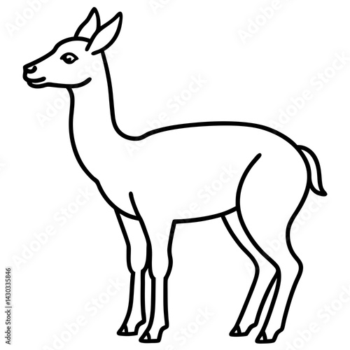Vicuna in a Single Stroke Vector Design