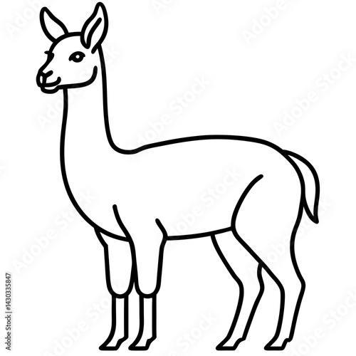 Vicuna in a Single Stroke Vector Design