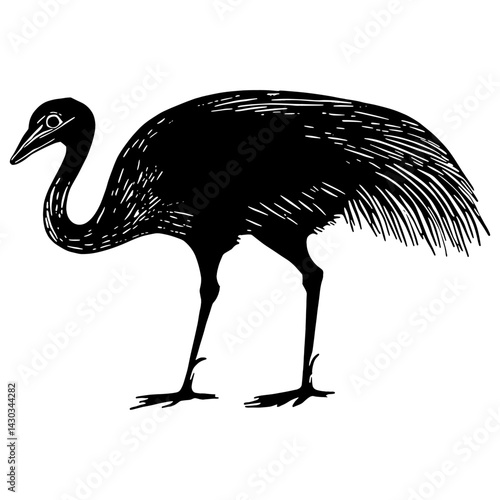 Emu wood block print silhouette animal white vector