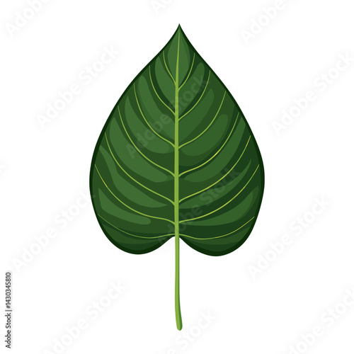 Tropical Peace lily leaf illustration green eco-friendly vector