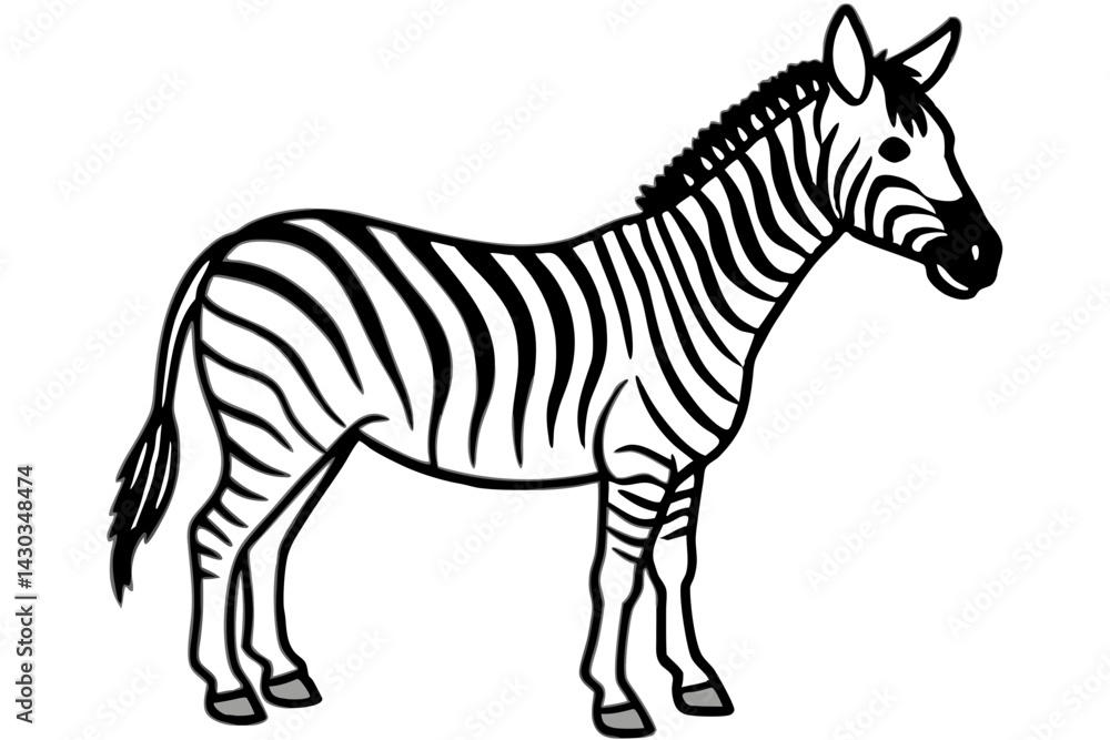 Fototapeta premium Zebra Silhouette Sketch