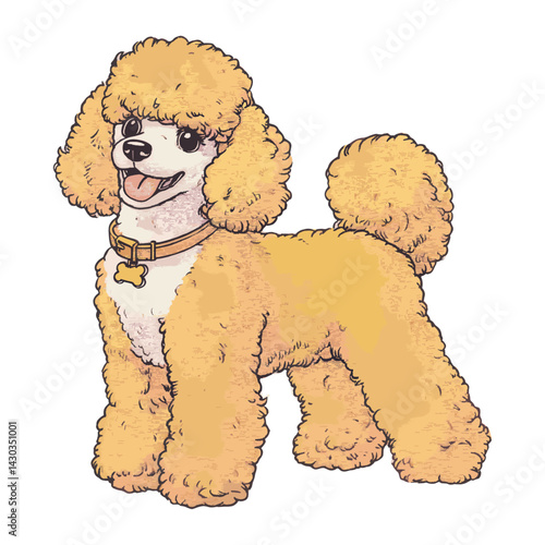 Poodle dog illustration cartoon vector