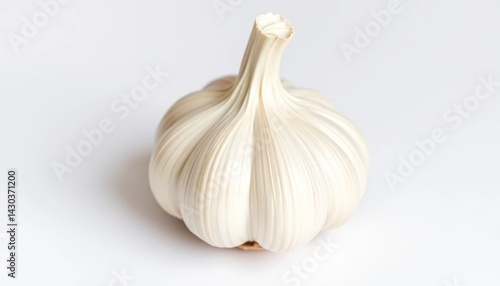 Single head of garlic