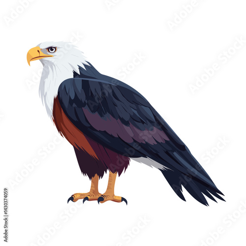 Vector illustration of African Fish Eagle eagle bird majestic vector