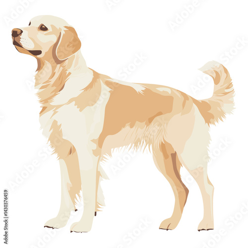 Dog illustration retriever animal vector