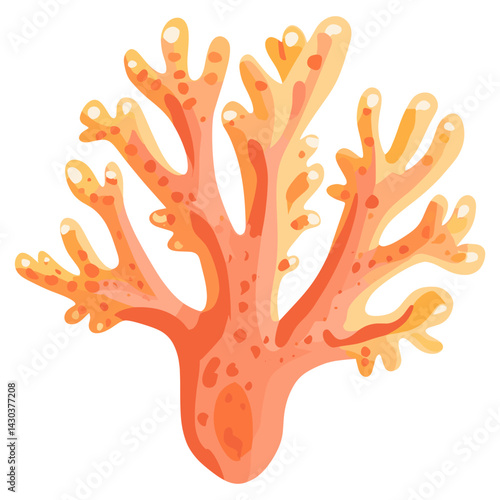 Coral illustration nature marine vector
