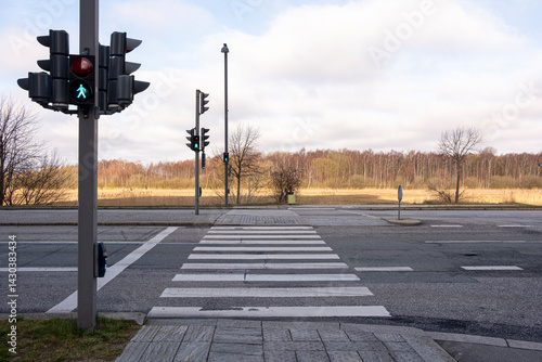 Urban crosswalk near natural landscape in Copenhagen, with open road and traffic lights, offering symmetry and geometric space ideal for mobility or transport themes.