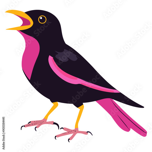 Magenta Myna Bird Chirping bird illustration colors vector