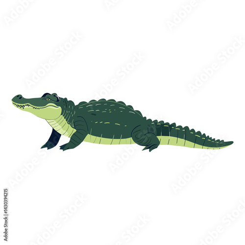 Crocodile animal illustration alligator vector