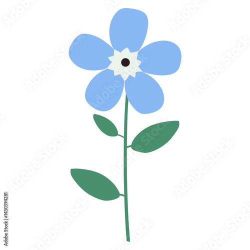 Forget-Me-Not flower art illustration simple  vector
