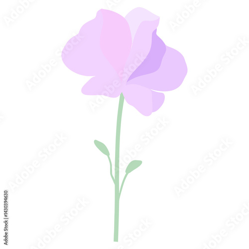 Sweet pea flower art illustration simple  vector