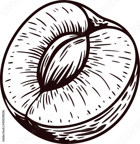 Detailed black and white of a sliced peach with pit exposed.