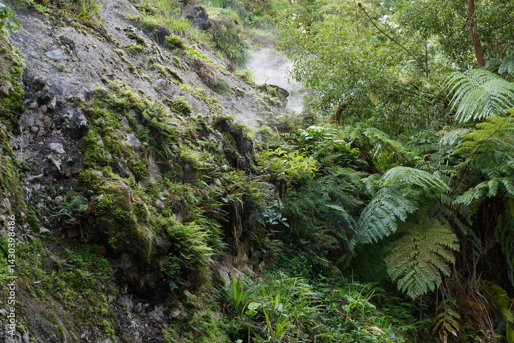 Fumarole bei Ribeira Grande auf São Miguel