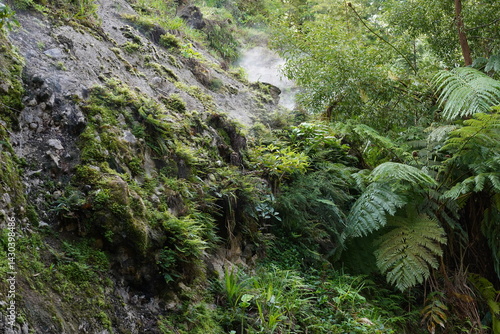 Obraz na płótnie Fumarole bei Ribeira Grande auf São Miguel w salonie