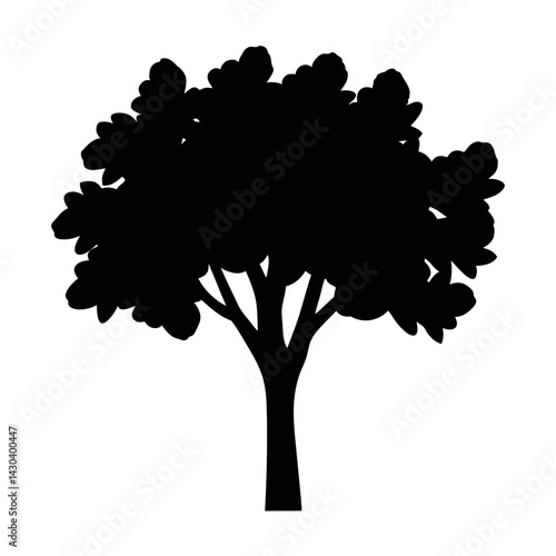 Deciduous tree silhouette isolated on a white background