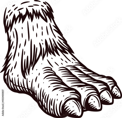 of a mythical creature foot with fur and claws.