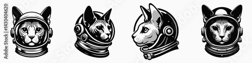 Sphynx Cat head with astronaut helmet. Space suit universe galaxy cartoon clipart. Hairless feline cranium in gear celestial voyage.
