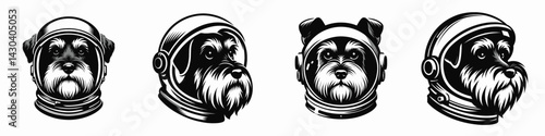 Miniature Schnauzer Dog head with astronaut helmet. Space suit universe galaxy cartoon clipart. Canine cosmonaut petite face helmeted rover.