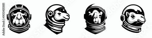 Camel head with astronaut helmet. Space suit universe galaxy cartoon clipart. Desert mammal headgear cosmic explorer gear.