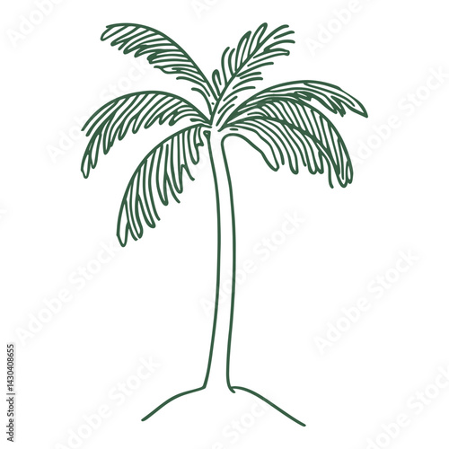Palm tree with coconuts drawing minimalist simple vector