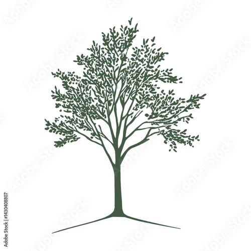 Tree minimalist drawing simple vector