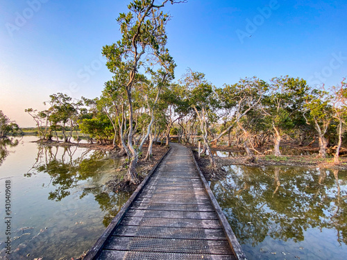 Obraz na płótnie Wooden Path Through Mangrove Trees with Water Reflection w salonie