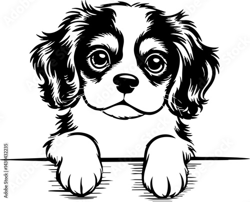 Adorable Cavalier King Charles Spaniel Puppy Vector Illustration
