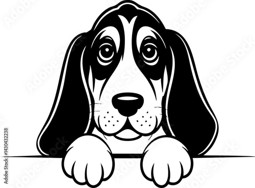 Basset Hound Puppy Looking Over a White Surface - Vector Illustration