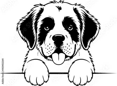 Saint Bernard Dog Vector Illustration
