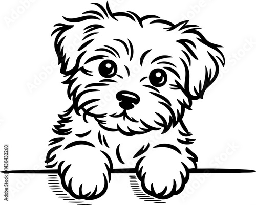 Adorable Puppy Peeking Over Edge - Vector Illustration