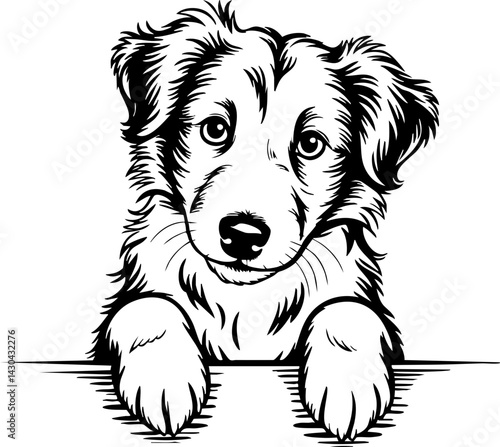 Curious Puppy Peeking Over a Blank Surface